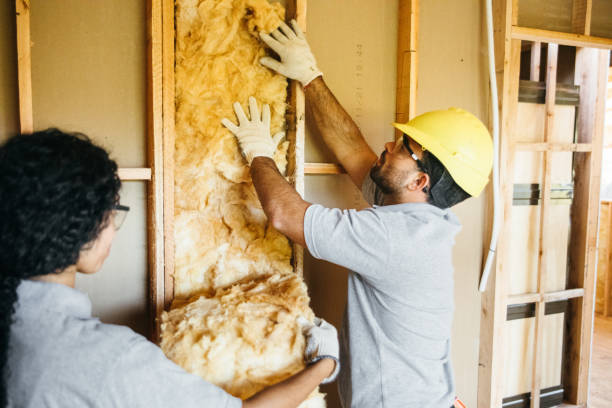 Professional Insulation in Lake Heritage, PA